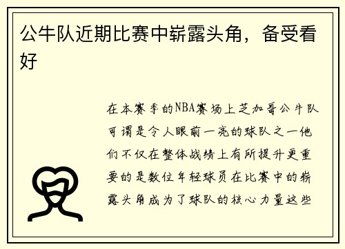 公牛队近期比赛中崭露头角，备受看好